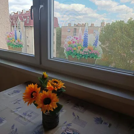 Apartamento Móra Corner Mezőkövesd